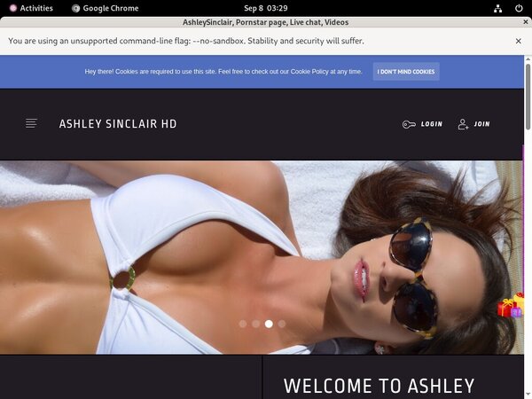Active AshleySinclair Passwords