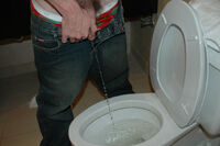 Boys-pissing.com Trial Pass s1