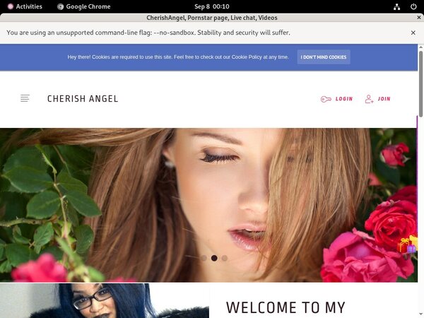 CherishAngelpasswords