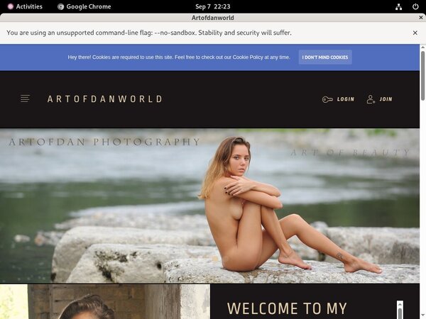 Coupon Artofdanworld