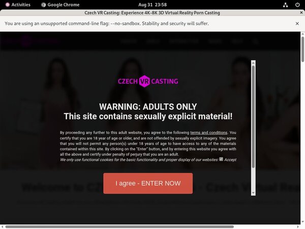 Czech VR Casting Hack