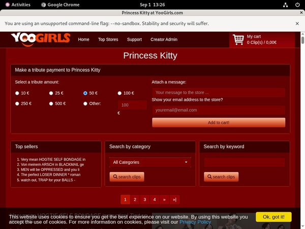 Discount Code Princess Kitty