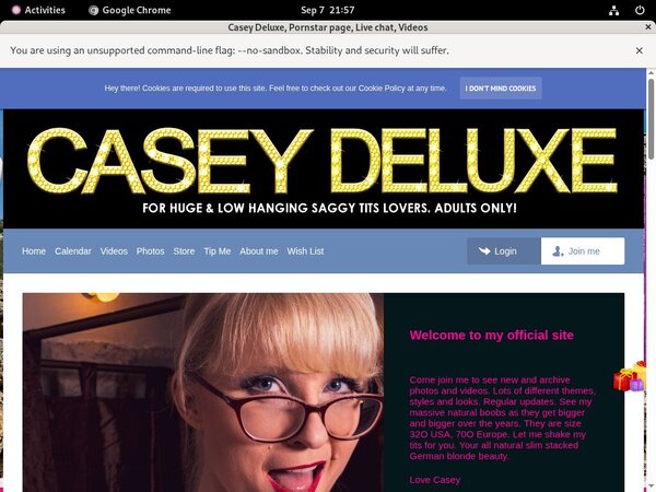 Free Casey Deluxe Logins
