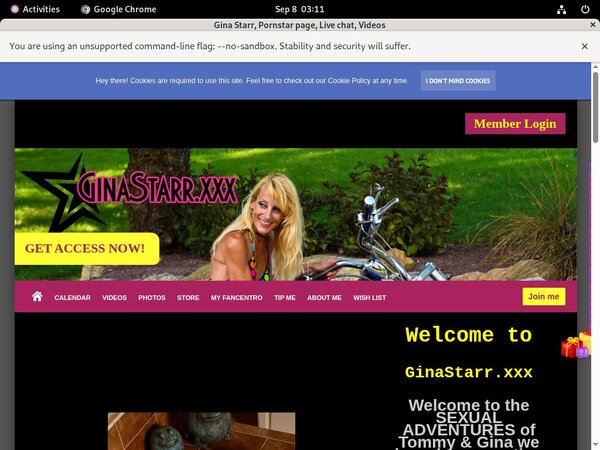 Free Ginastarr.xxx Accounts And Passwords