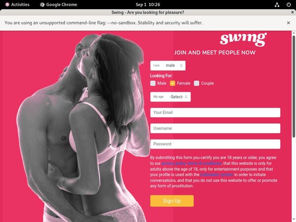 Free Premium Accounts For Swing.net