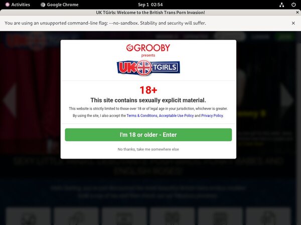 Free UK TGirls Premium Accounts