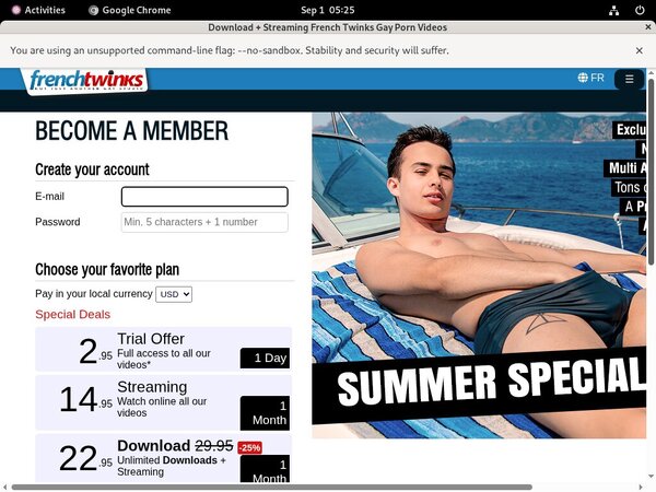 French Twinks Discount Site