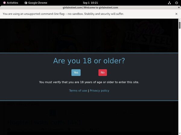 Get Free Girlsinsteel Logins