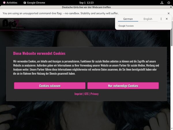 Get Lanagiselle.tv For Free