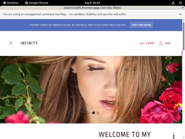 How Much Does Iceprincess69.modelcentro.com Cost