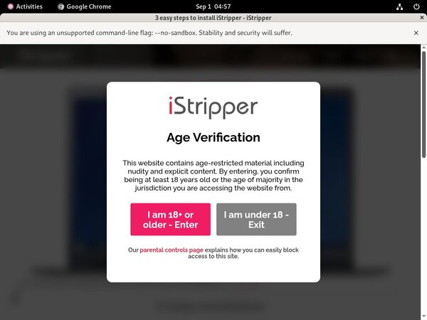 IStripper Nude Photos
