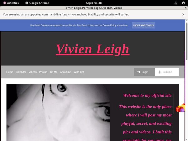 Is Vivienleighandme.modelcentro.com Real Is Vivienleighandme.modelcentro.com Real