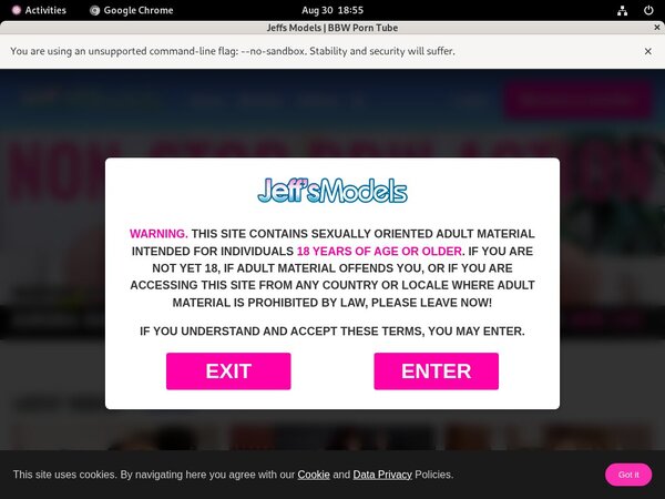 Jeffsmodels.com Password Hack