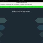 Kitty’s Kuriosities Free Trial Password