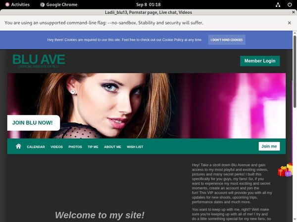 Ladiiblu13.modelcentro.com With Mastercard