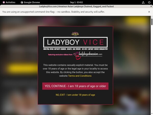 Ladyboy Vice Real Passwords