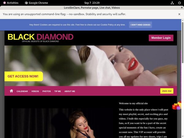 LoraSinClare Vendo Page