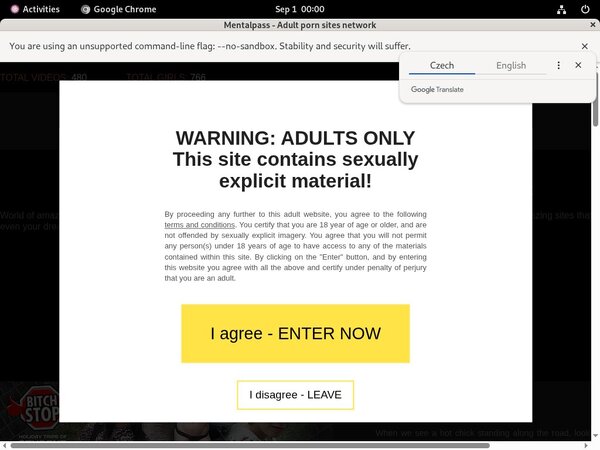 Mental Pass Premium Logins