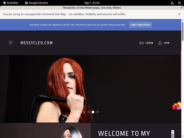 Messycleo.com Passwords 2017 Messycleo.com Passwords 2017