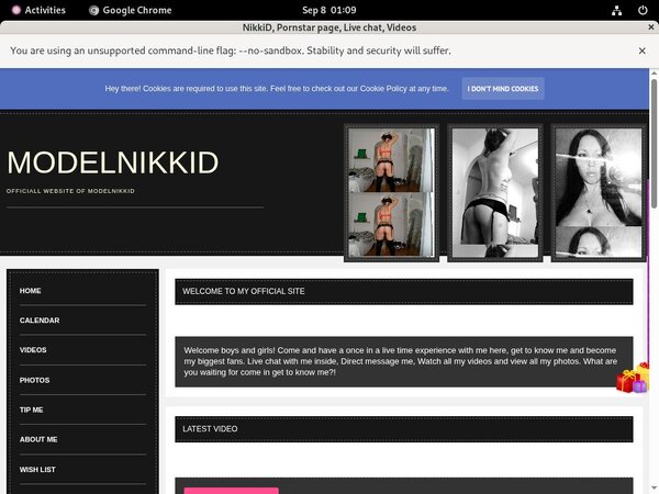 ModelNikki Pro Biller Page