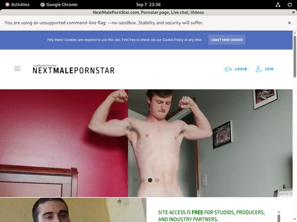 Nextmalepornstar.com Paypal Access