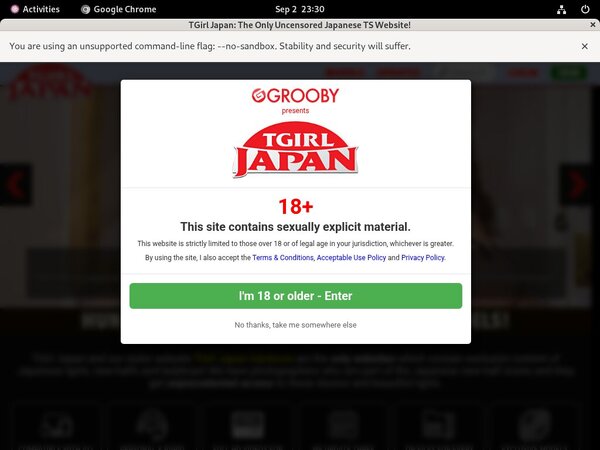 Password For TGirl Japan