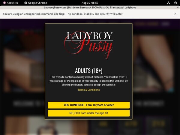 Real Ladyboypussy