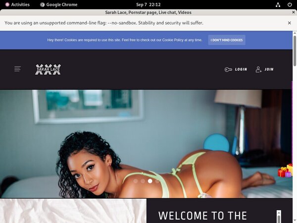 Sarah Lace Payment Sarah Lace Payment