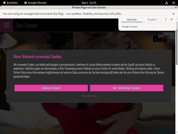 Sari-sander.com Sign In Sari-sander.com Sign In