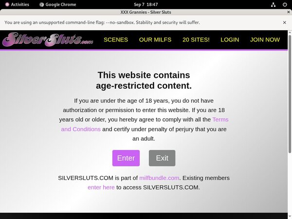 Silversluts Password 2018