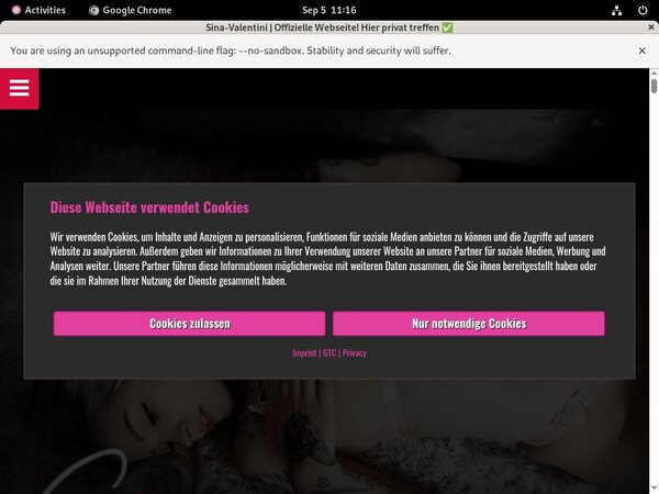 Sina Valentini User Name Password