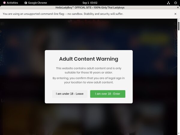 Site Rip Hello Ladyboy