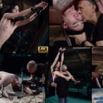 Subspace Land Free Trial Promo