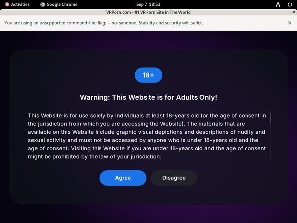 VR Porn Limited Time Offer