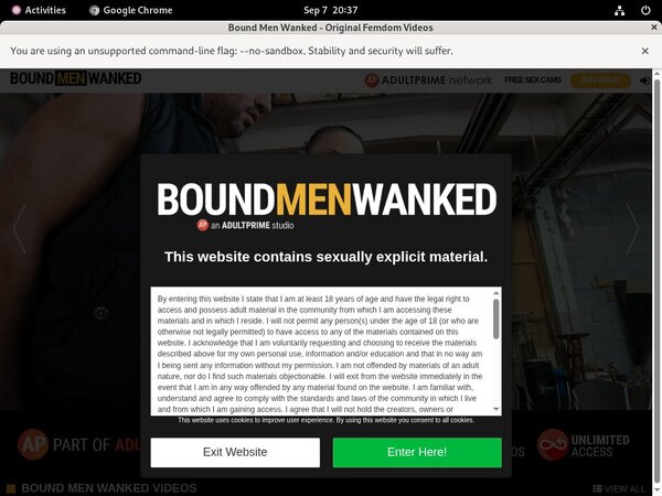 Wanked Men Bound With Paypal