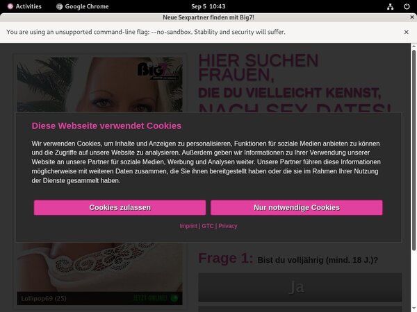 Working Yoursecretdream.com Login