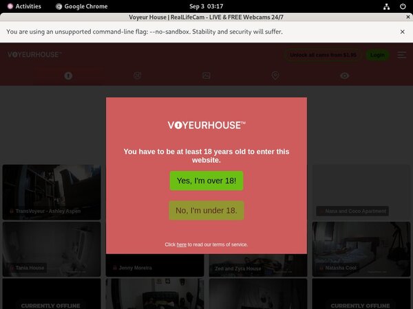 Voyeurhouse Premium Passwords