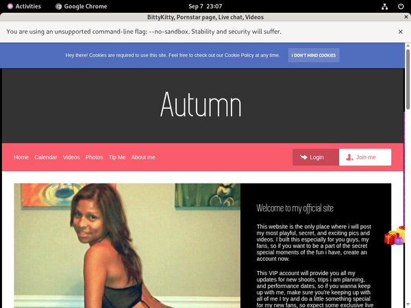 BittyKitty Without CC BittyKitty Without CC