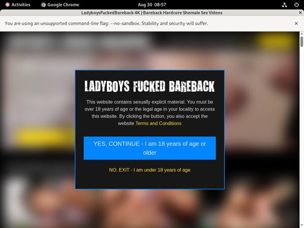 Ladyboysfuckedbareback.com Account Online