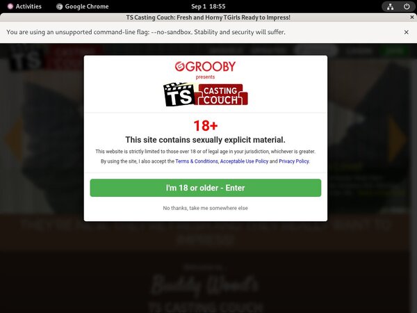 Tscastingcouch Discount Off