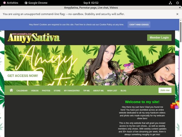 Amyysativa.com Coupon Link