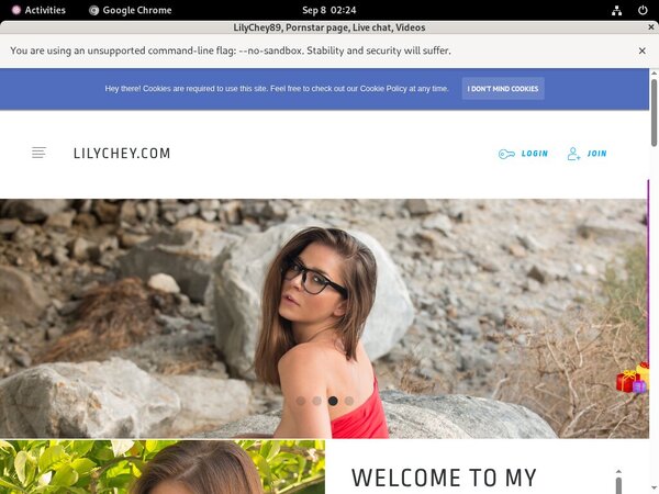 LilyChey89 Valid Password