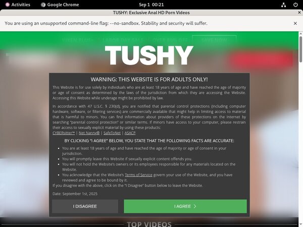 New Tushy