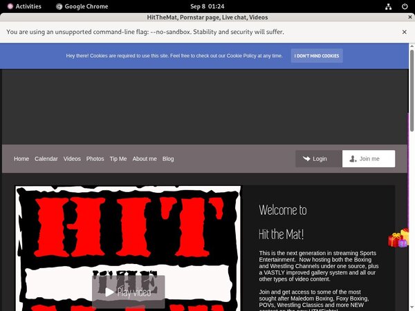 Paypal With Hitthemat.modelcentro.com